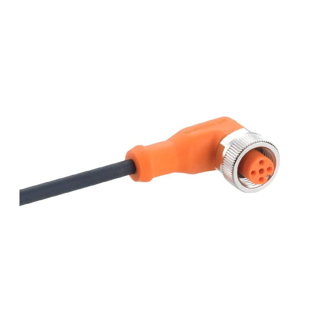 ECV006